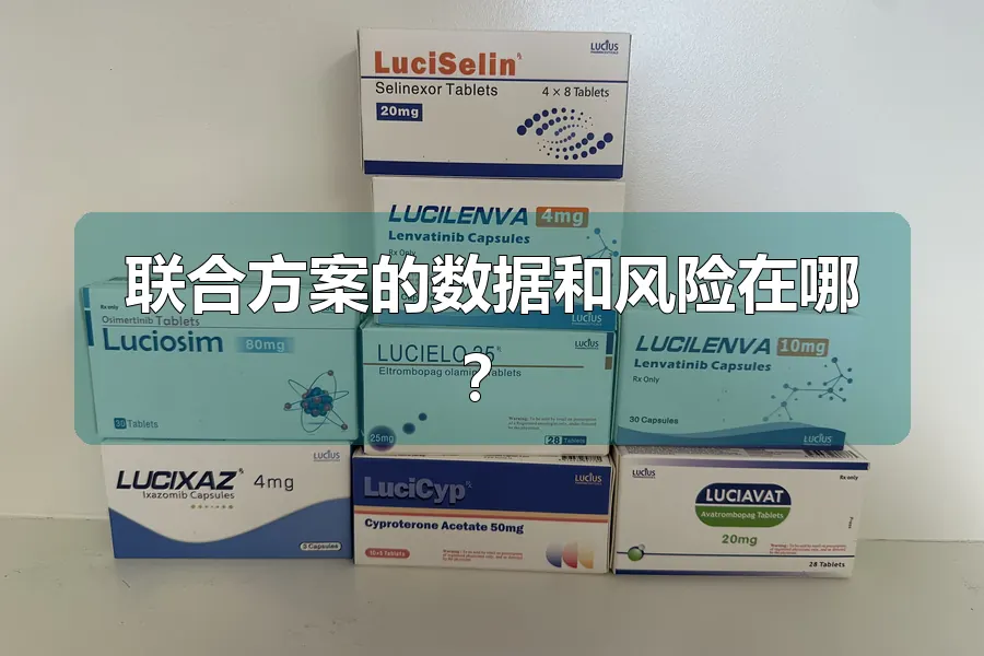 联合方案的数据和风险在哪?